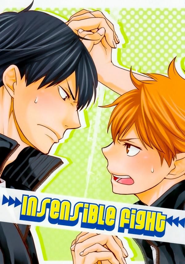 Haikyu!! dj - Insensible Fight